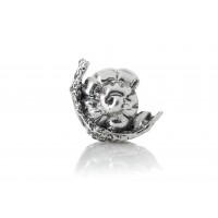 Little Snail | Sterling  Silver Charm