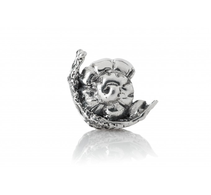 Little Snail | Sterling  Silver Charm