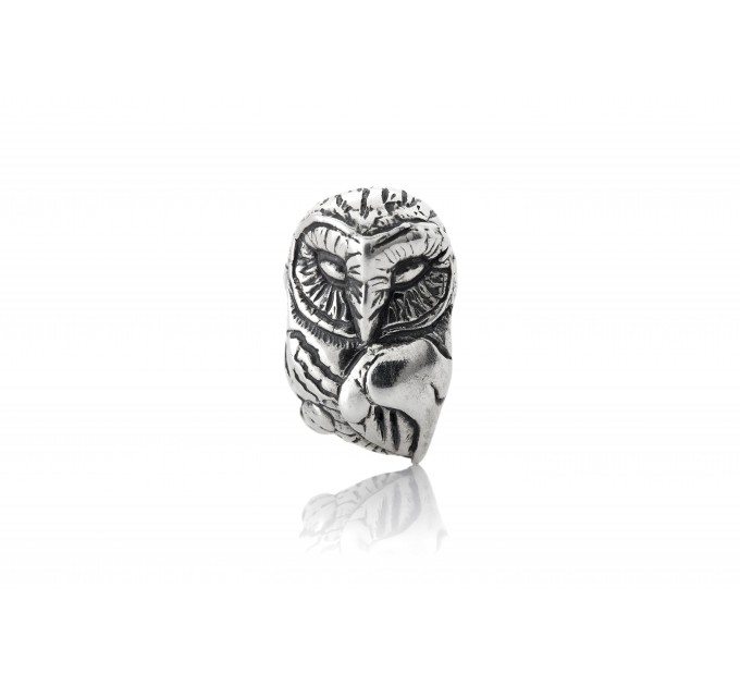  Wise Owl | Sterling Silver Charm 