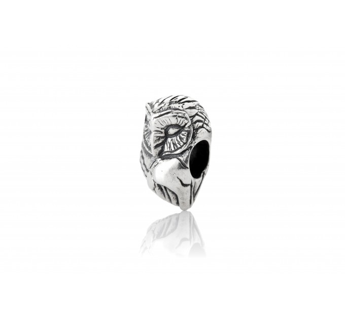  Wise Owl | Sterling Silver Charm 