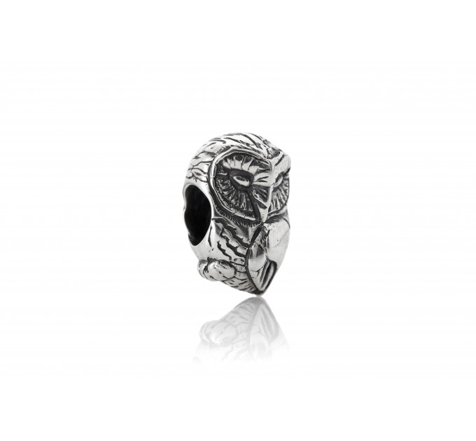  Wise Owl | Sterling Silver Charm 