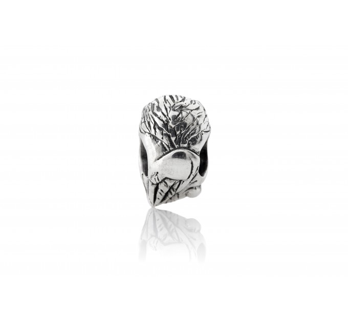  Wise Owl | Sterling Silver Charm 