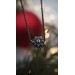 Ukrainian Christmas Star | Christmas Collection